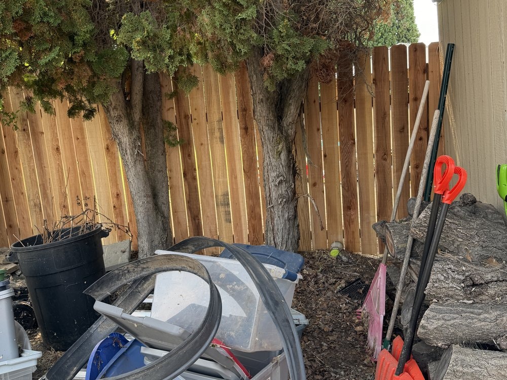 Cedar fence behind evergreen trunks with shovels, a rake, plastic totes and cut logs in front