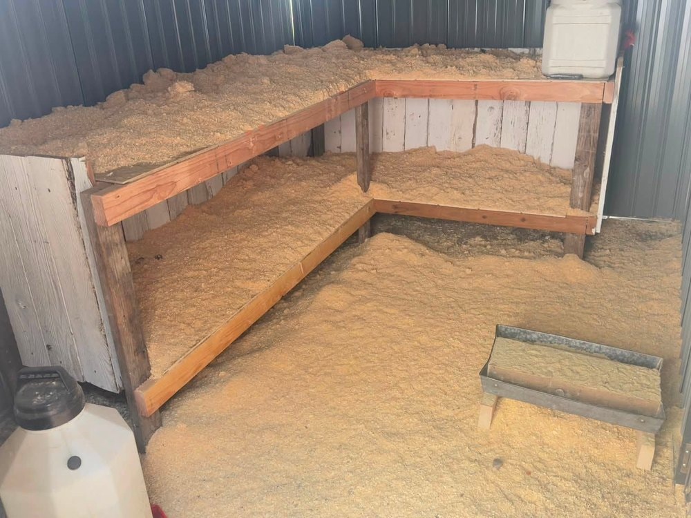 Raised wood framed bays filled with sawdust and a galvanized feed trough on the floor
