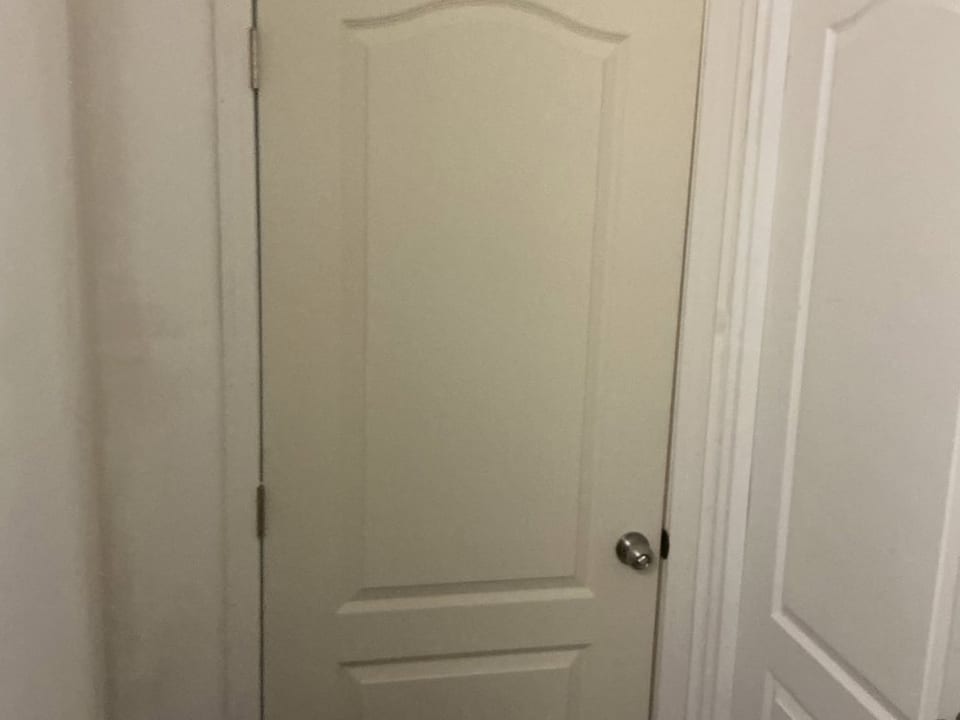Closed white interior door with a brushed metal knob, two visible hinges, and painted casing in a dim hallway.